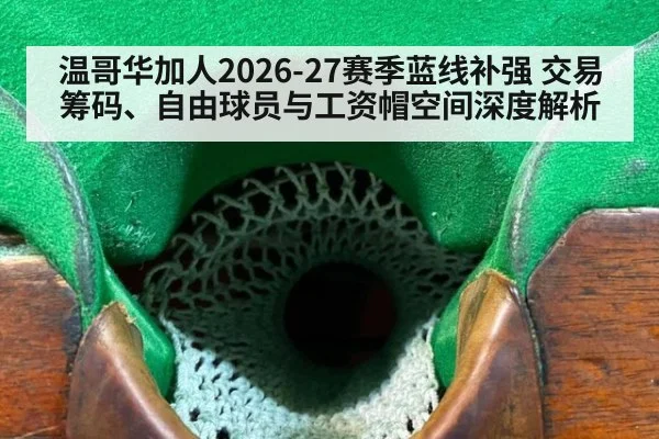 温哥华加人2026-27赛季蓝线补强 交易筹码、自由球员与工资帽空间深度解析